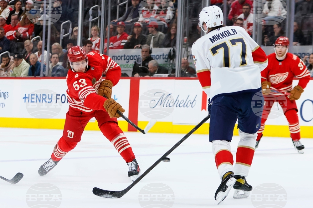 Panthers Red Wings Hockey