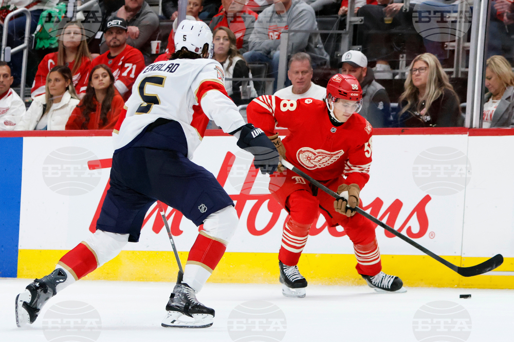 Panthers Red Wings Hockey