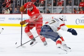 Panthers Red Wings Hockey