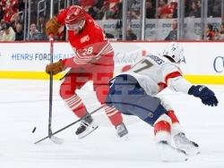 Panthers Red Wings Hockey