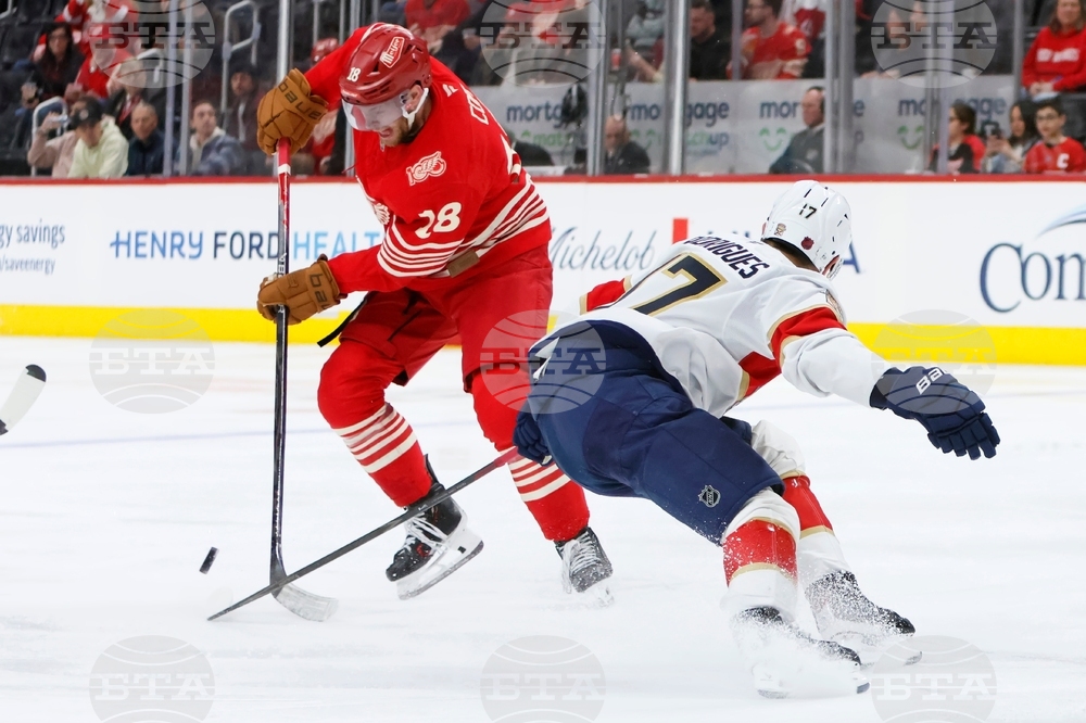 Panthers Red Wings Hockey