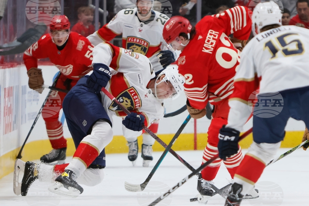 Panthers Red Wings Hockey