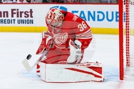 Panthers Red Wings Hockey