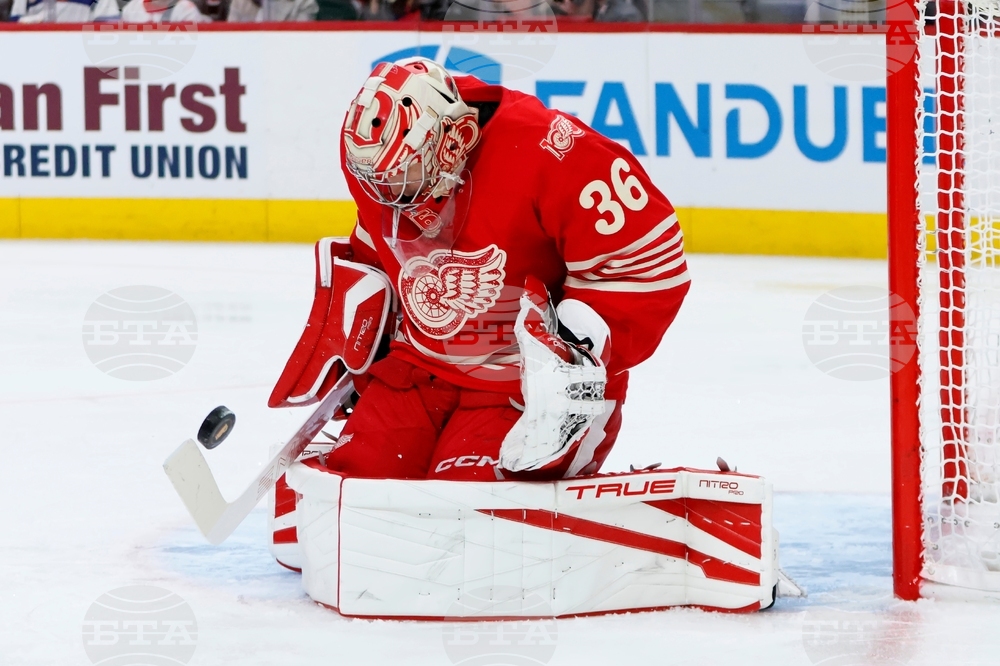 Panthers Red Wings Hockey