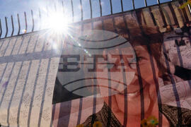 Savannah Guthrie Mom Missing