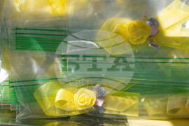 Savannah Guthrie Mom Missing