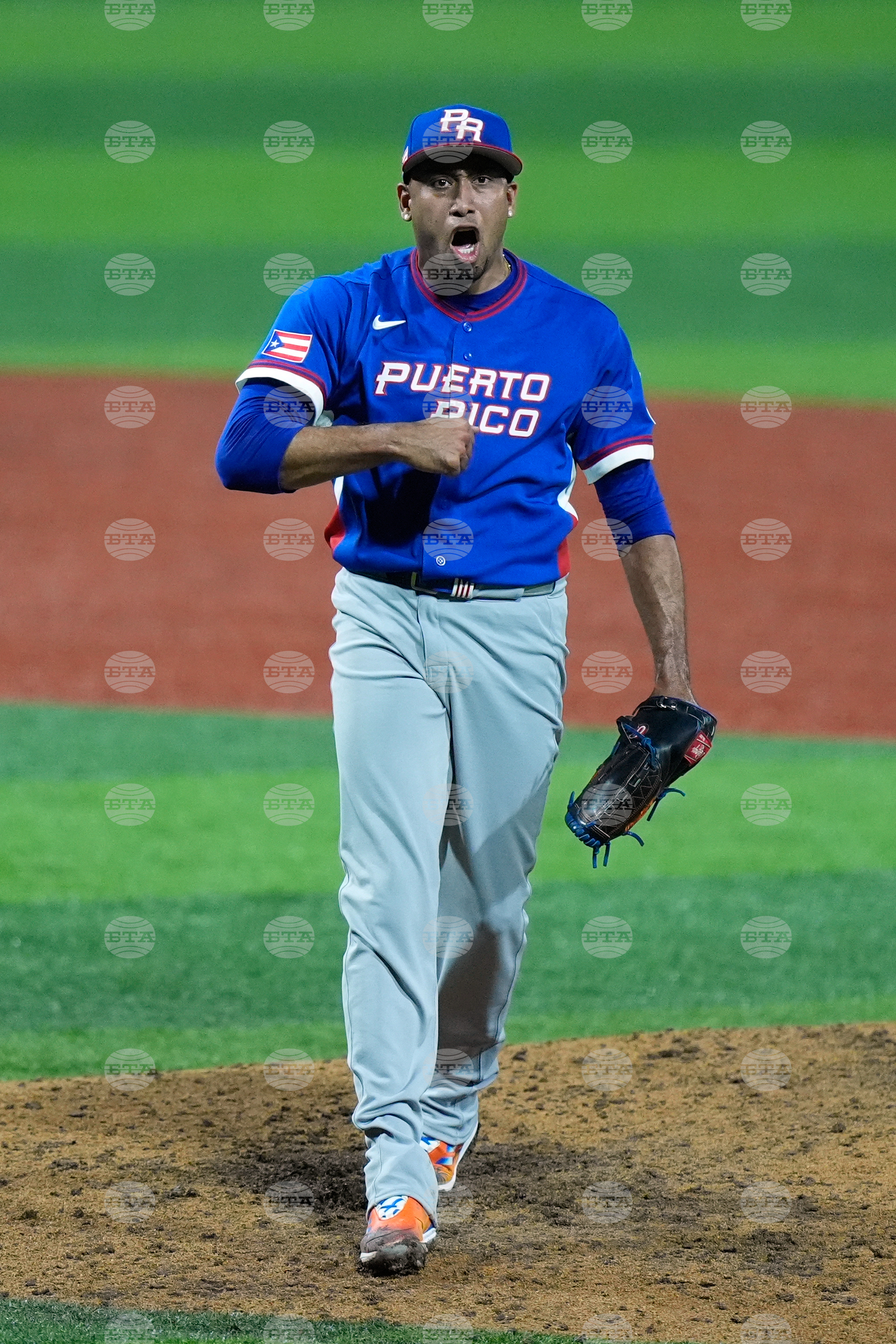 WBC Puerto Rico Colombia Baseball