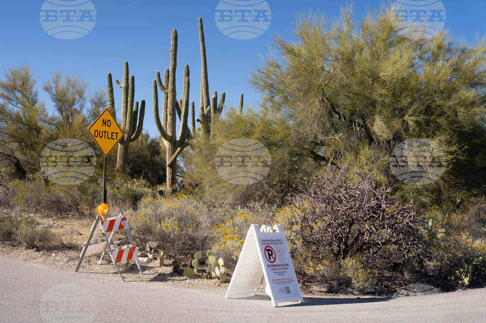 Savannah Guthrie Mom Missing