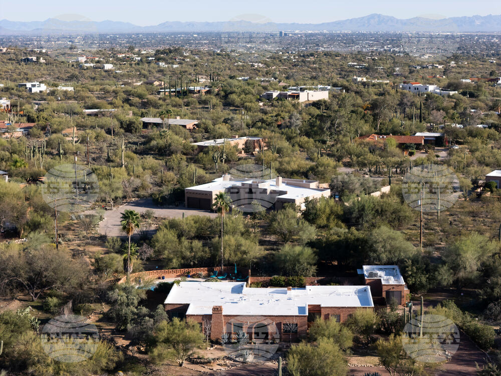 Savannah Guthrie Mom Missing