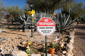 Savannah Guthrie Mom Missing