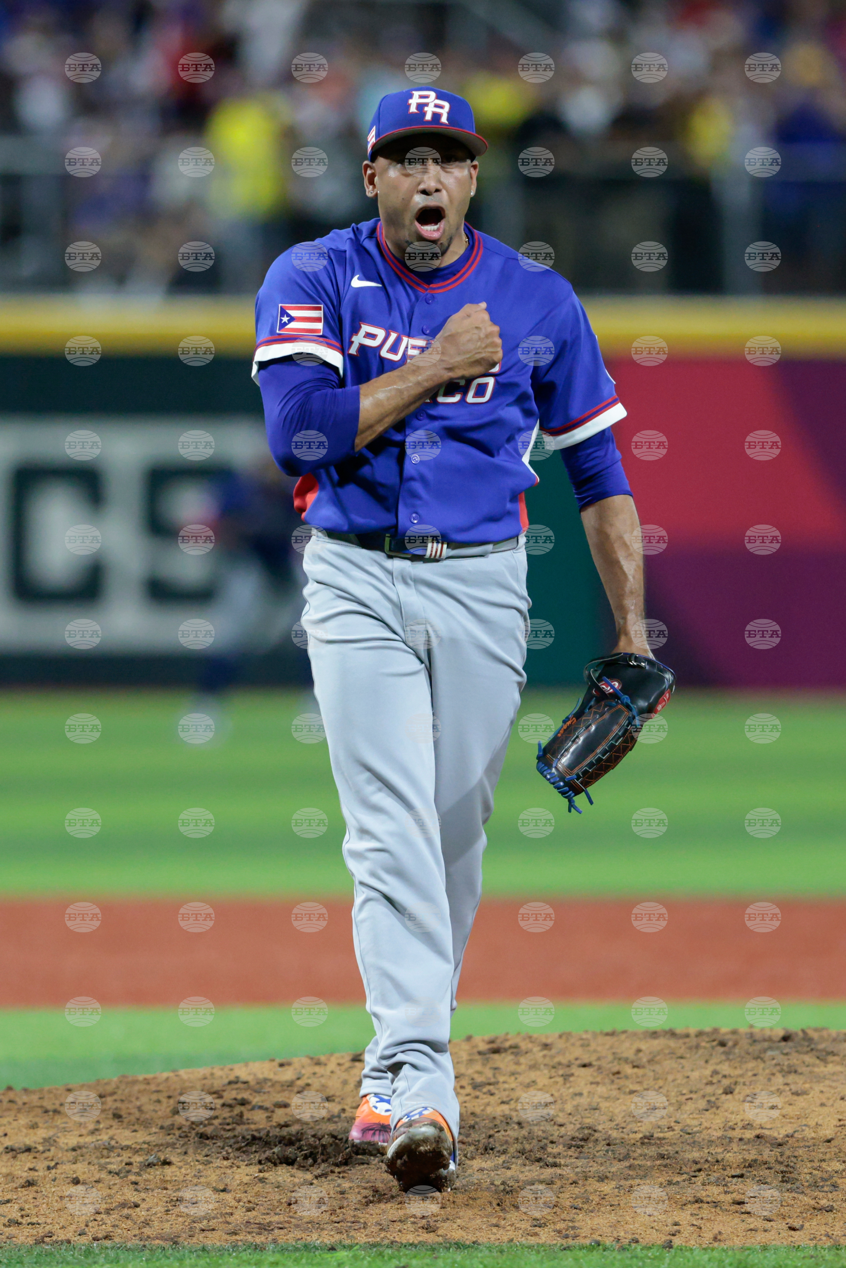 WBC Puerto Rico Colombia Baseball