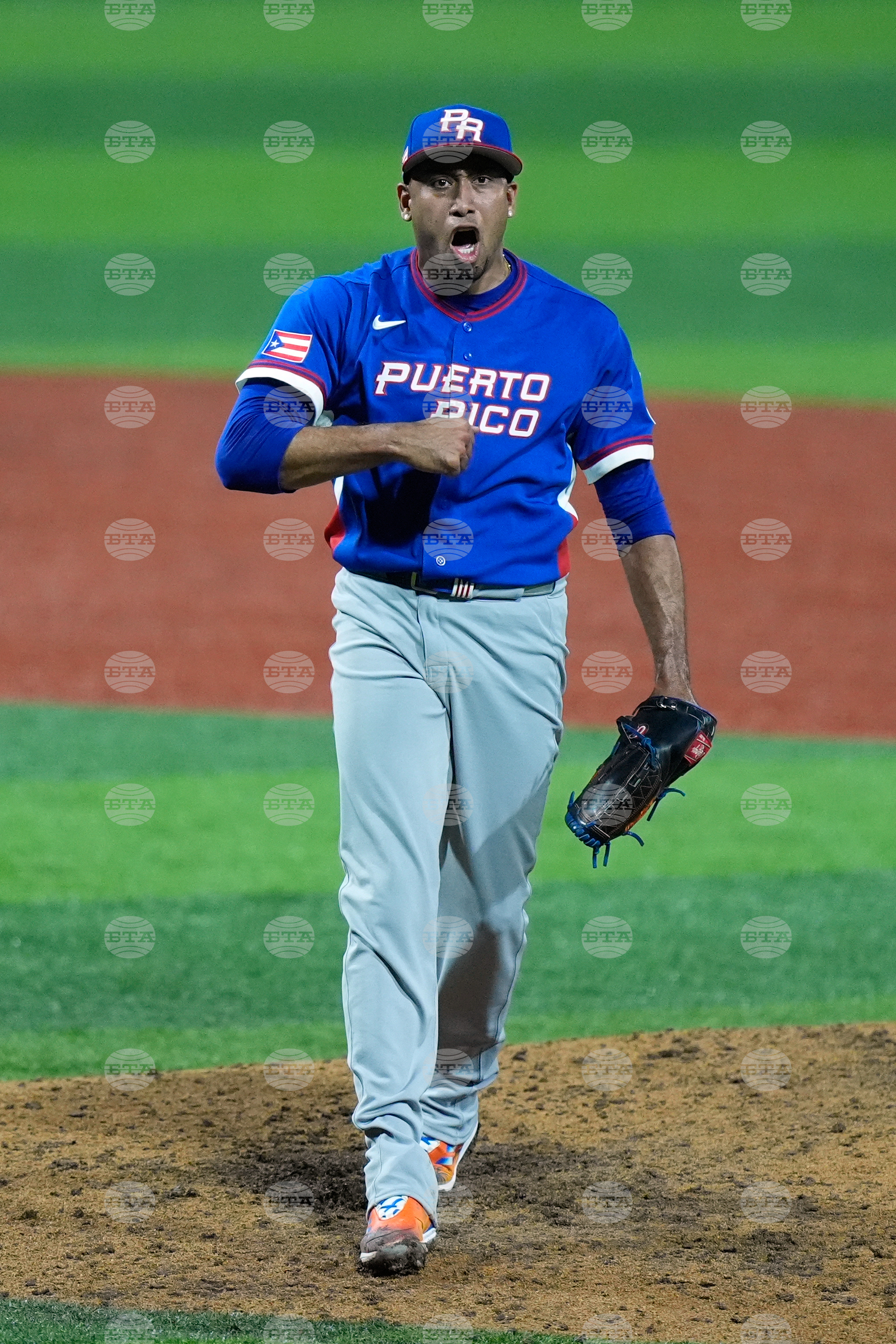 WBC Puerto Rico Colombia Baseball