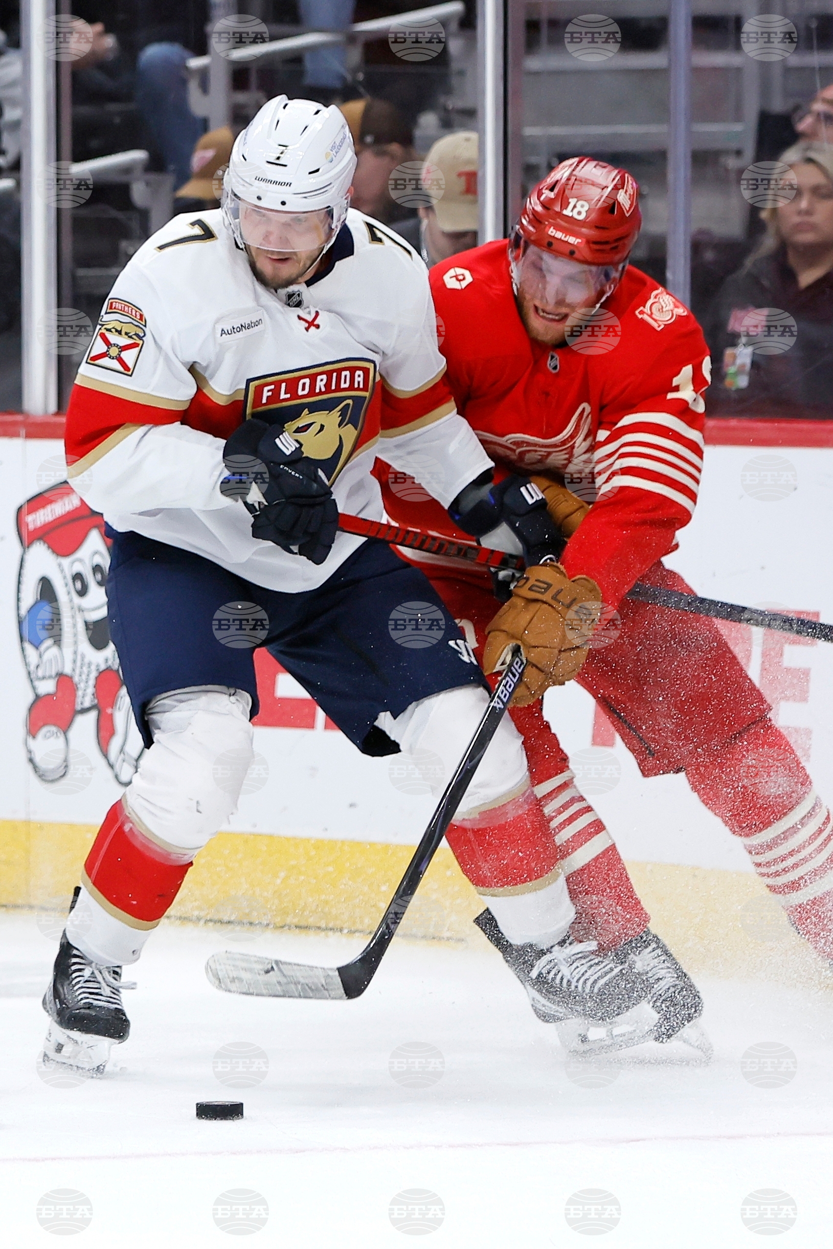 Panthers Red Wings Hockey