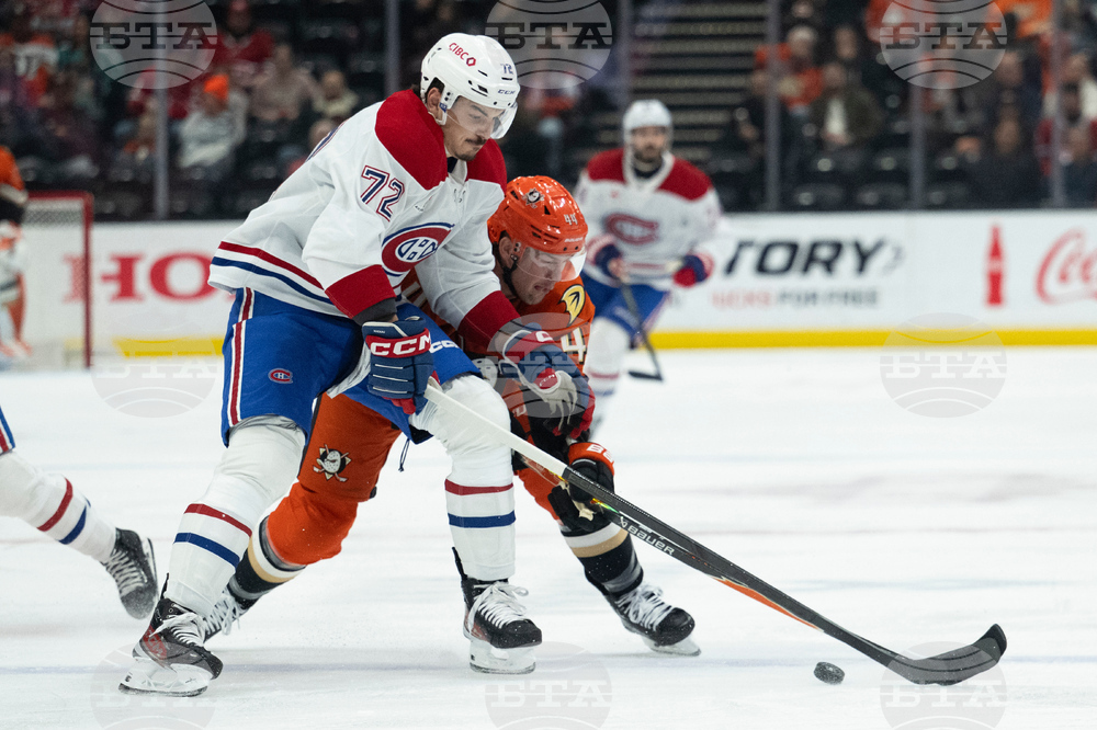 Canadiens Ducks Hockey