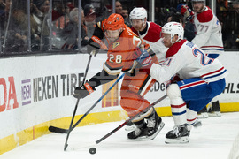 Canadiens Ducks Hockey