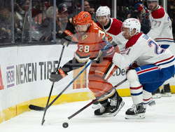 Canadiens Ducks Hockey