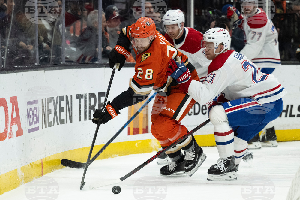 Canadiens Ducks Hockey