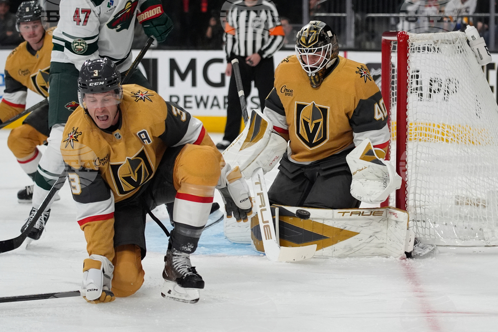 Wild Golden Knights Hockey