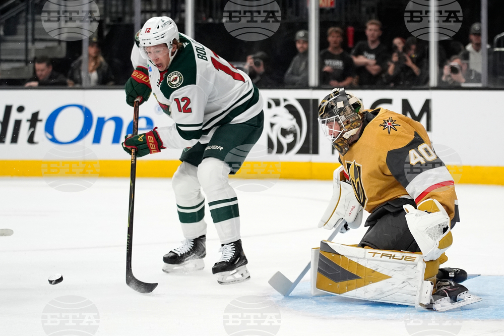 Wild Golden Knights Hockey