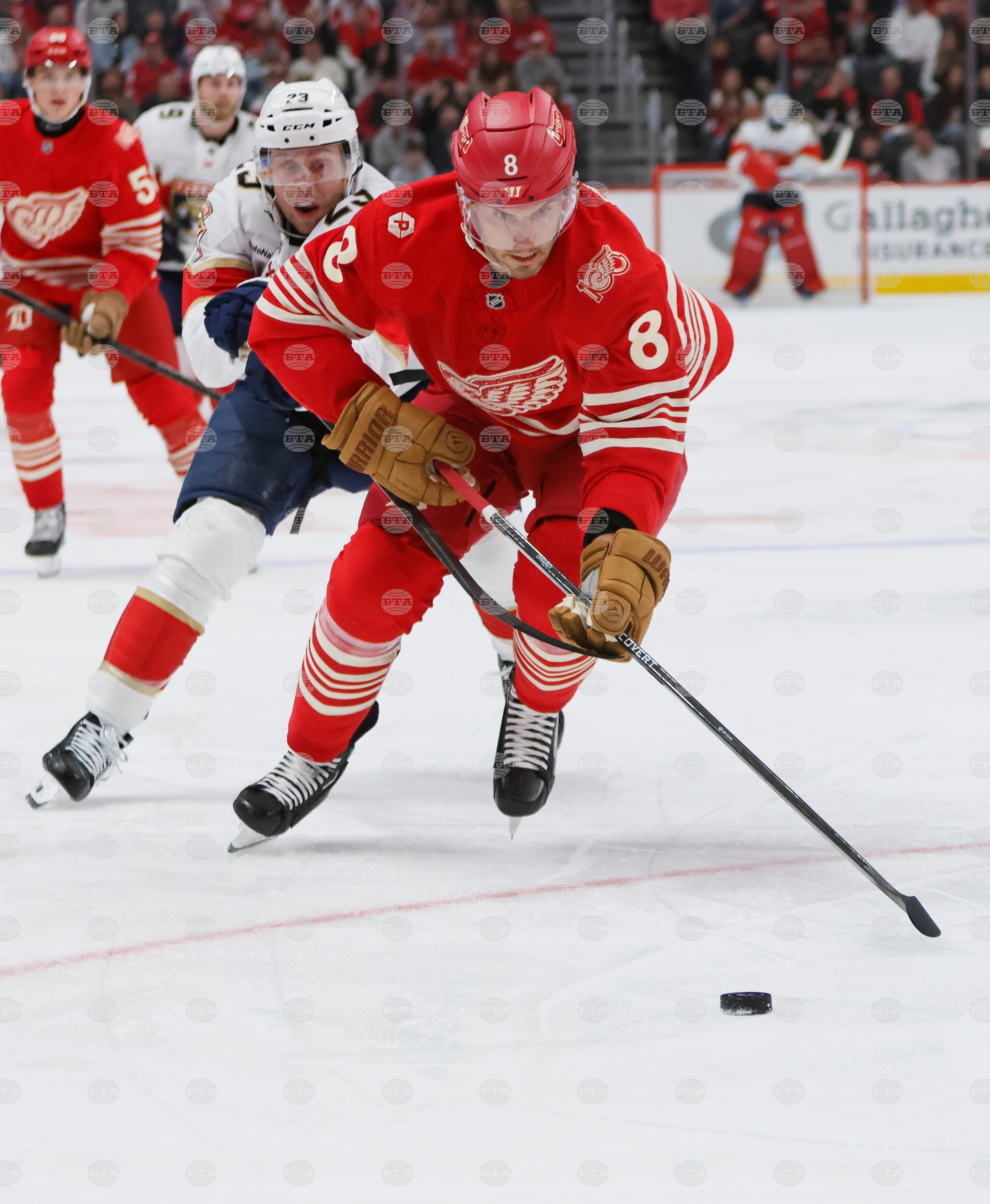 Panthers Red Wings Hockey