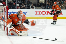 Canadiens Ducks Hockey