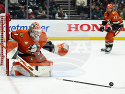 Canadiens Ducks Hockey