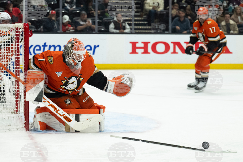 Canadiens Ducks Hockey