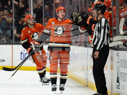 Canadiens Ducks Hockey