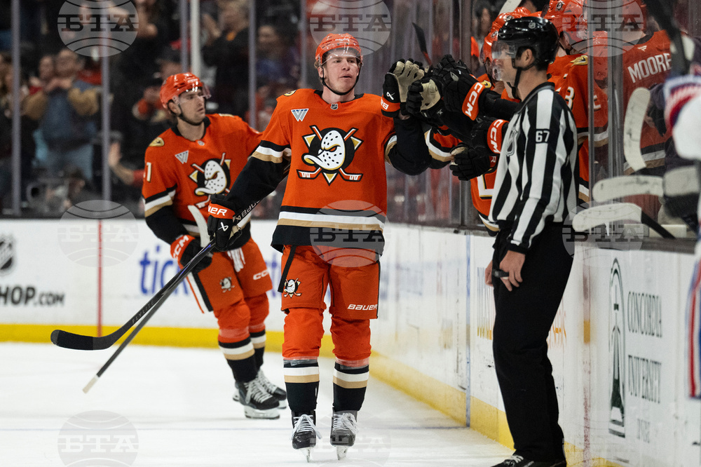 Canadiens Ducks Hockey