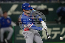 WBC Taiwan Czechia Baseball