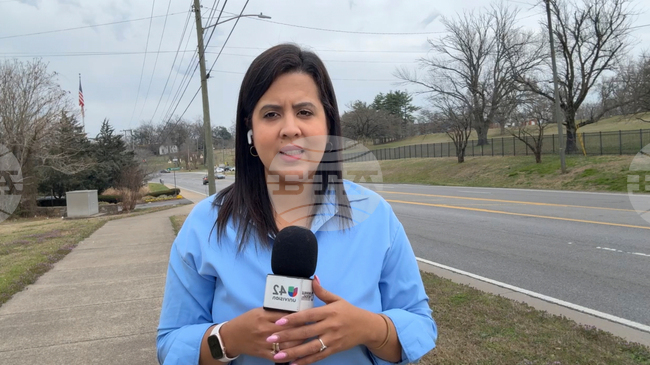 ICE-Reporter-Arrested