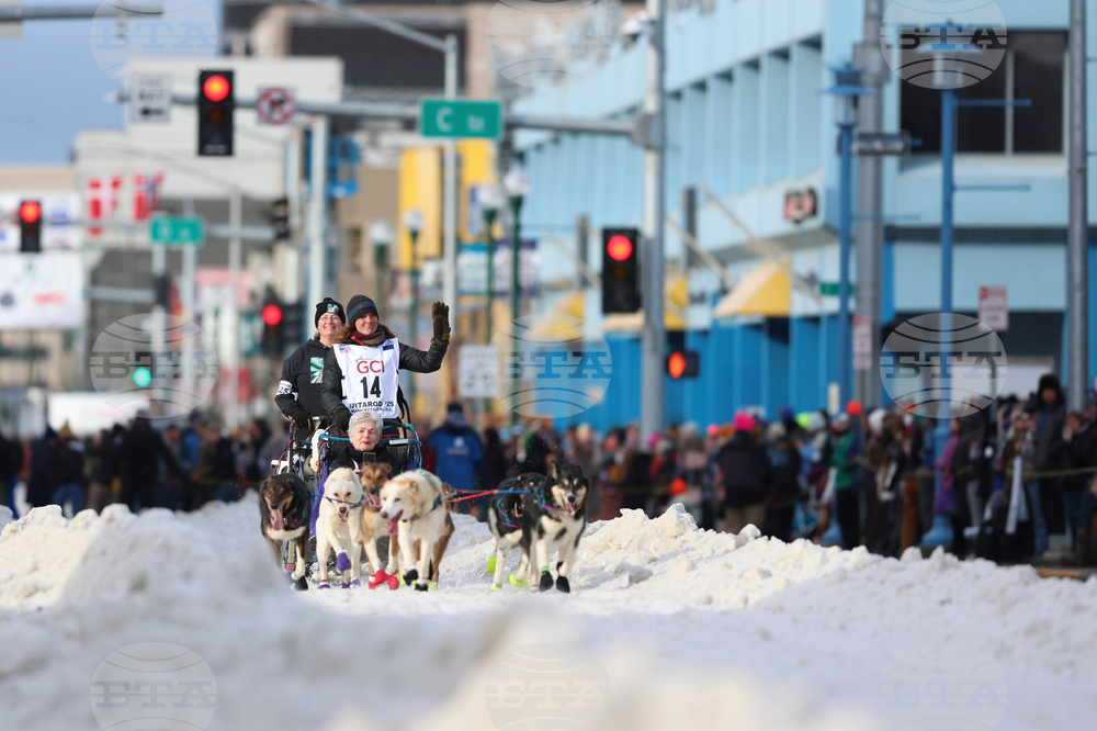 Iditarod What to Know Racing