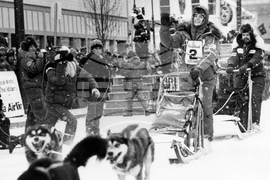 Iditarod What to Know Racing