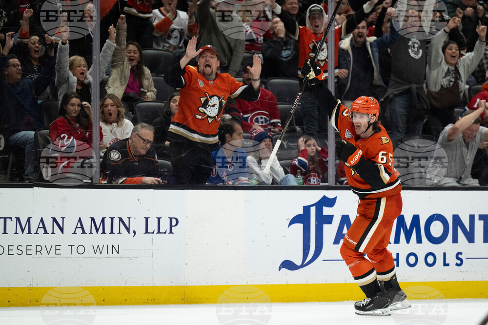 Canadiens Ducks Hockey