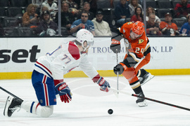 Canadiens Ducks Hockey