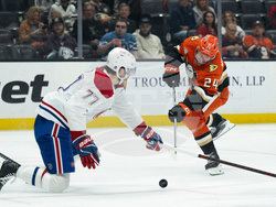 Canadiens Ducks Hockey