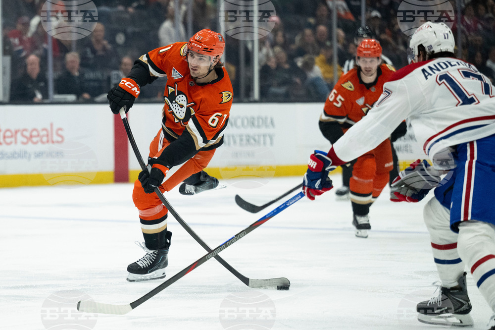 Canadiens Ducks Hockey