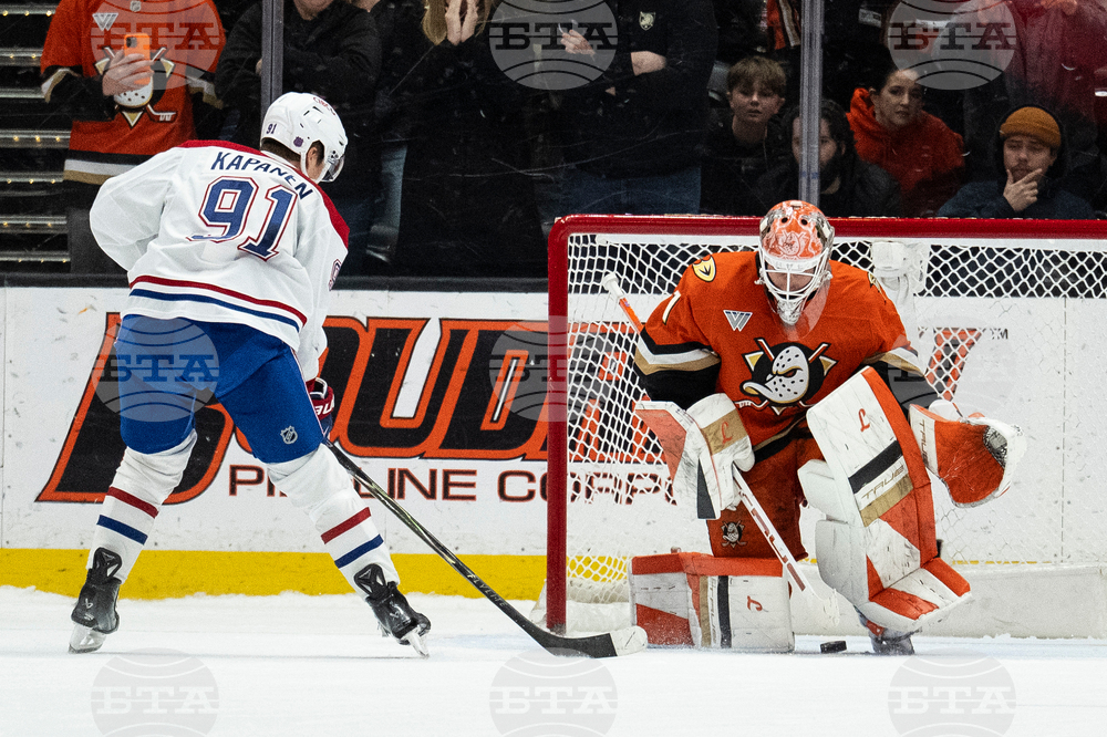 Canadiens Ducks Hockey