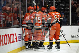 Canadiens Ducks Hockey