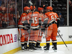 Canadiens Ducks Hockey