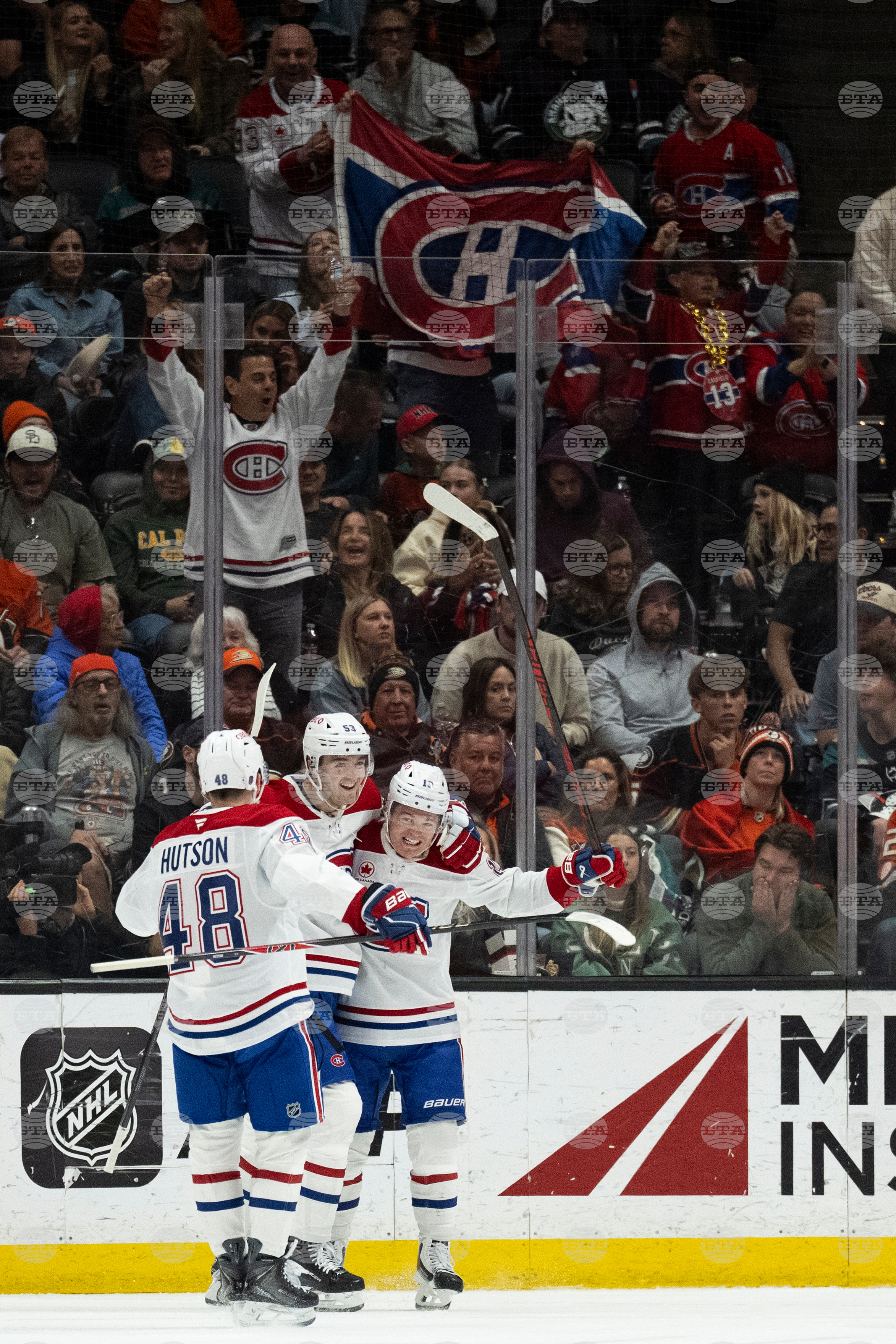 Canadiens Ducks Hockey
