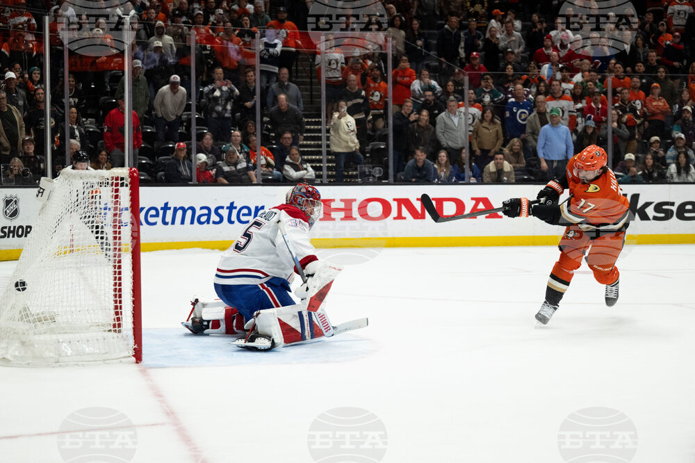 Canadiens Ducks Hockey