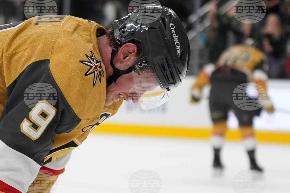 Wild Golden Knights Hockey