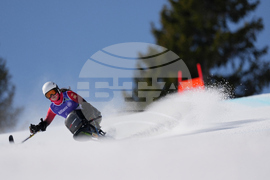 Milan Cortina Paralympics Alpine Skiing