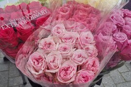 Варна - благотворителност - кампания