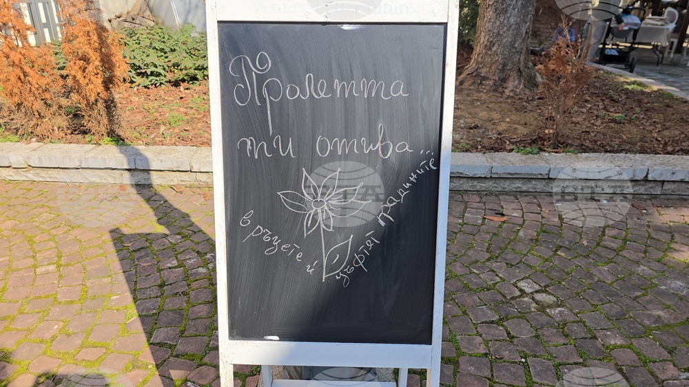 Ловеч - 8 март - мини базар