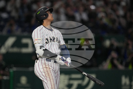 WBC Japan South Korea Baseball