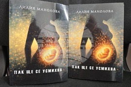 Плевен - Лилия Манолова - книга
