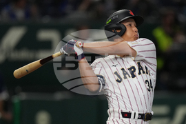 WBC Japan South Korea Baseball