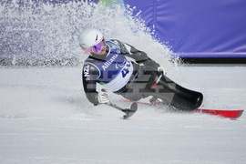 Milan Cortina Paralympics Alpine Skiing